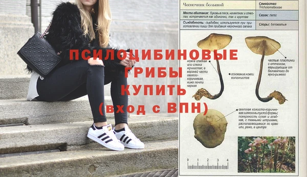не бодяженный Беломорск