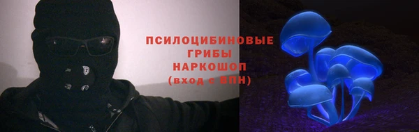хмурый Приозерск