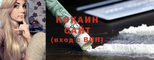 ПСИЛОЦИБИНОВЫЕ ГРИБЫ Арсеньев