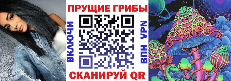Галлюциногенные грибы Psilocybe  Белокуриха 